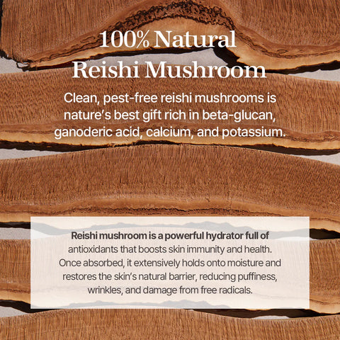 Reishi Mushroom Essence 100ml