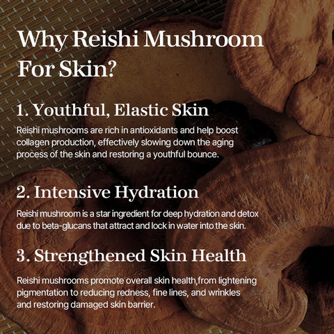 Reishi Mushroom Essence 100ml